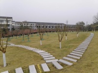 李文全随拍：思绪踏着琴键，情怀便雄浑浩瀚