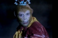 孙悟空划掉猴类生死薄，为何猴子还是死了大半？菩提祖师道出真相