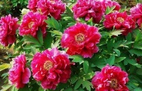 但向善，无所求