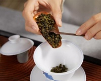 如何辨别好的铁观音茶？这3大步骤要学会！