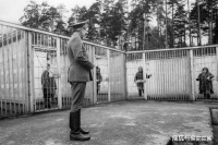 人生重要的是选择，小故事大道理，告诉你人生该怎样选择