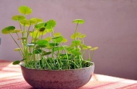 真正快乐的人，懂得“无为而治”