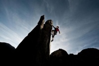 努力的人才有希望，有了希望才会对未来有更多的展望