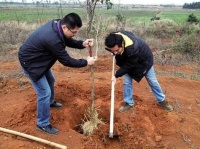 俗语“树怕三摇，女怕三撩，鸡怕撵，狗怕舔”大多数人不知道含义