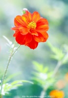 真诚面对生活，温暖一生