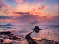 马东旭：申家沟，与神最接近的地方｜中原作家