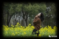 美文 | 我坐在岁末，读一本四季的书