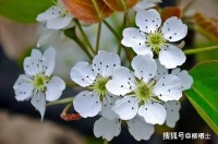 苏轼《江城子 · 密州出猎》情景默写专练（含答案）