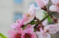 俗语：“三十不豪、四十不富”，五十岁会是什么样？男人值得一看