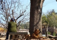 俗语“五十不治财，六十不治棺”啥意思？有福之人皆知