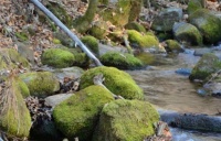 民间俗语：“滚石不生苔，转业不聚财”，啥意思？年轻人不妨一看