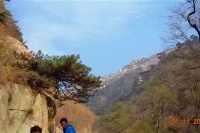 小麦农田打药机@小麦农田打药机 你若澹泊 自成风景