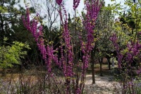 若你心向阳光—无惧风雨忧伤