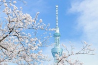 撩一个中年女人最好的办法：“准”一点