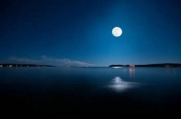 中华好诗词•沁园春｜衔恨愿为天上月，年年犹得向郎圆