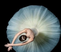 适意的生活要如何获得？