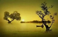 俗语：“举头三尺有神明”，其实上半句更有深度，不可不知