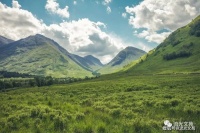 名家推荐：扬之水（组诗）——谢新政