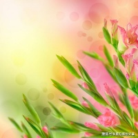 明明很讨厌自己的吝啬，却很难改掉，该怎么办？