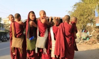 缅甸加纳杨佛学院千僧化缘