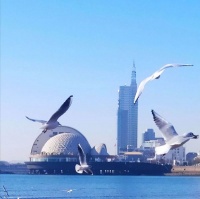 沁园春 寒冬遐思（词一阕）