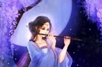 再读《春夜洛城闻笛》，心中无奈，或许才是真爱