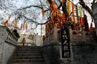 名门修谱：海外华侨混好了，为什么就想着回国寻根？