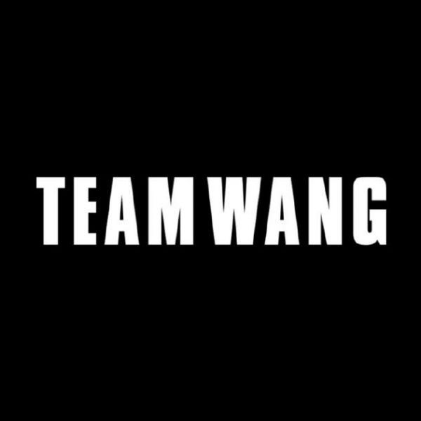 TEAMWANG公司