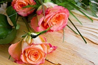 俗语：“宅子出四喜，家中出贵人”，看看你家有没有“四喜”！