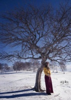 往事如烟，一切随缘