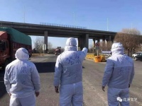 雪落于树：雪落石家庄｜散文选读