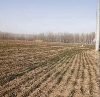 做自己有感-80后写