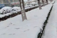 叫醒冬季的雪—一片苍茫