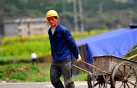 俗语：鹰鼻鹞眼不可交，下句同样经典，老祖宗的识人之道