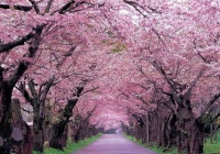 女人对一个男人动了真心，“嘴”上会有体现