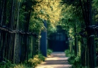 哲思：做人，要知理、知足、知趣！