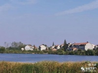 王健‖冬日，我的思绪在飞(散文诗)