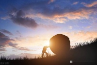 做人，要么全力以赴，要么果断放弃