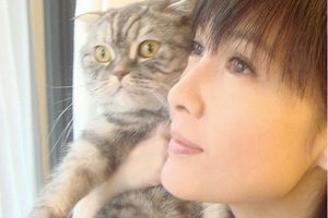 周慧敏与猫咪合照