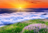 于中华 | 不要太在乎