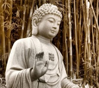 《百业经》：一只孔雀愿力成熟转生孔雀