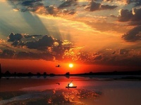 《弃圣绝智》半生风雨，思绪万千