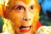 难怪悟空这么无法无天，原来他有一个姐姐，你看看身份是啥？