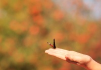 人生没有圆满，幸福没有永远，曲曲折折才能勾勒出生命的美