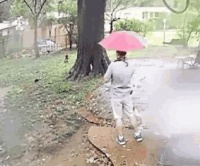 男子在树下和女友打电话，接下来发生的事，让他终身难忘