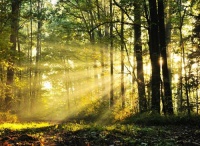 往后余生，离这3种人远一点，人生会越来越顺