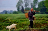 俗语说：“孤房儿子傻，闹市出人精”啥意思？许多人不知深层含义