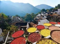 记得老屋，那是一种深入血脉的乡恋