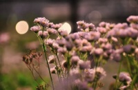 爱抬杠，你就彻底输了！