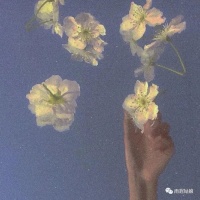 雨遐：梦给我开了一个玩笑，我竟当了真｜河南青作协